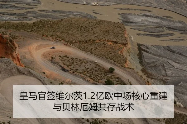 皇马官签维尔茨1.2亿欧中场核心重建与贝林厄姆共存战术